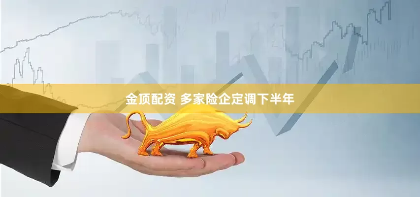 金顶配资 多家险企定调下半年