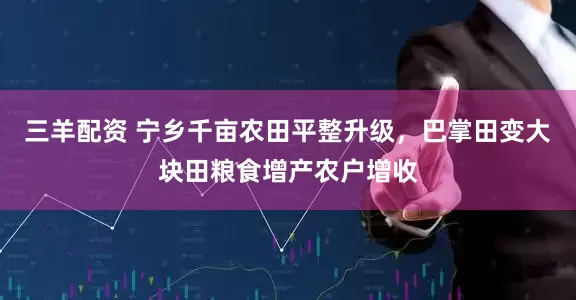 三羊配资 宁乡千亩农田平整升级，巴掌田变大块田粮食增产农户增收